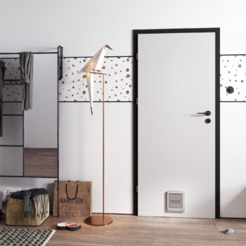 Drzwi z przejściem dla kota (20200817) B 8000px